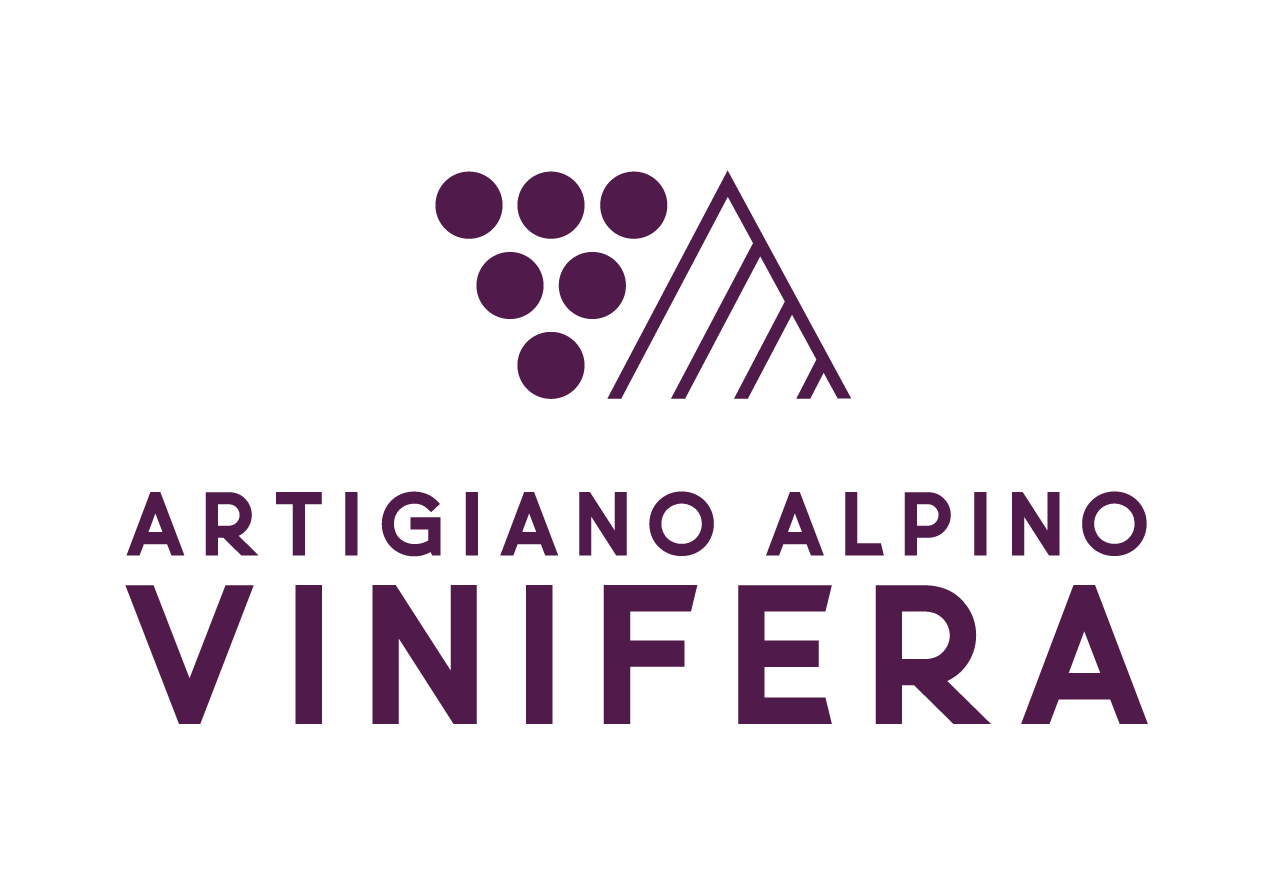 Vinifera, Forum di vino e passione Logo